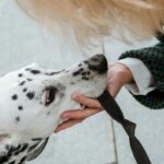 Dlaczego ta firma? Klucz do sukcesu w rozmowie kwalifikacyjnej